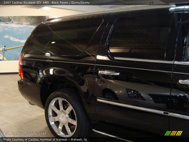 Black Raven / Ebony/Ebony 2007 Cadillac Escalade ESV AWD