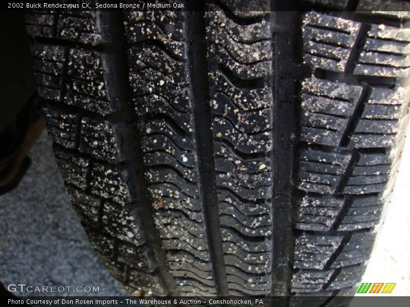 Sedona Bronze / Medium Oak 2002 Buick Rendezvous CX