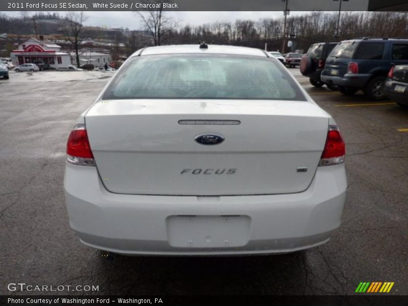 White Suede / Charcoal Black 2011 Ford Focus SE Sedan
