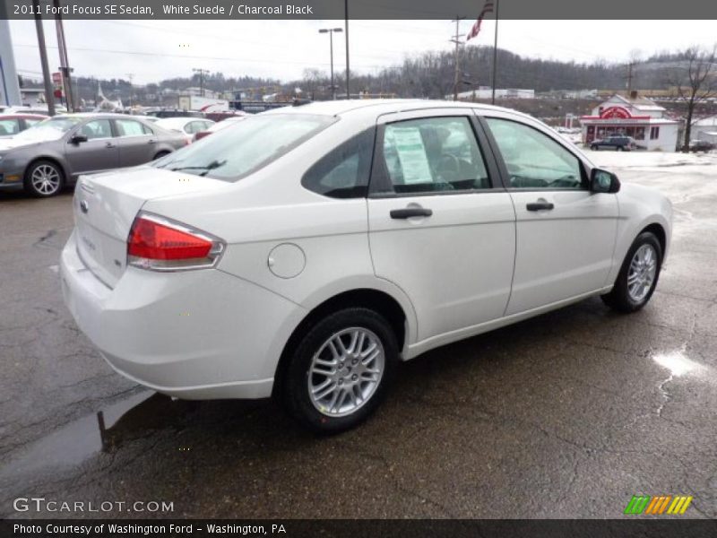 White Suede / Charcoal Black 2011 Ford Focus SE Sedan