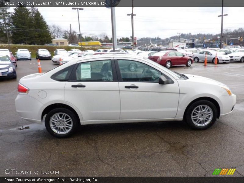 White Suede / Charcoal Black 2011 Ford Focus SE Sedan