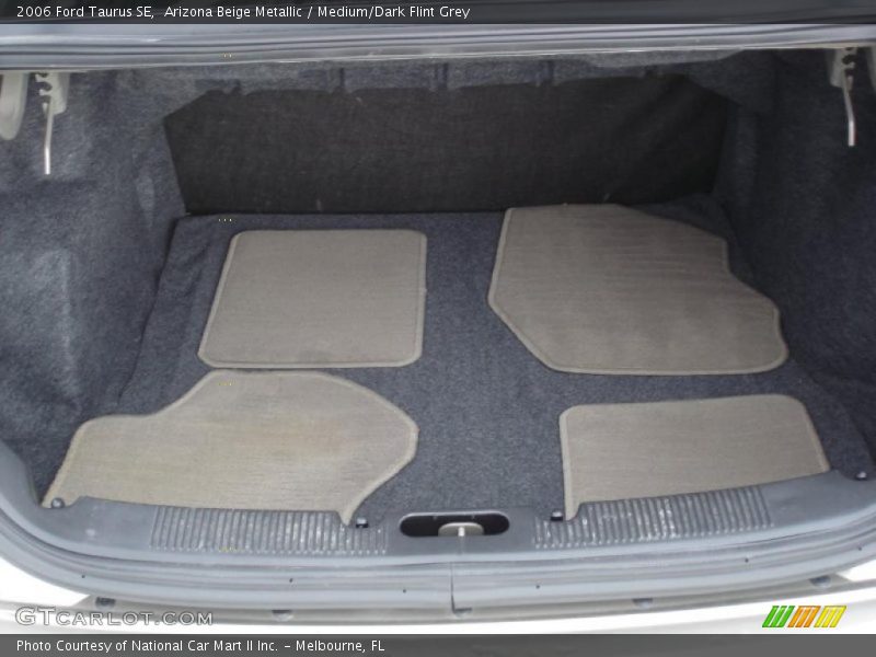 Arizona Beige Metallic / Medium/Dark Flint Grey 2006 Ford Taurus SE