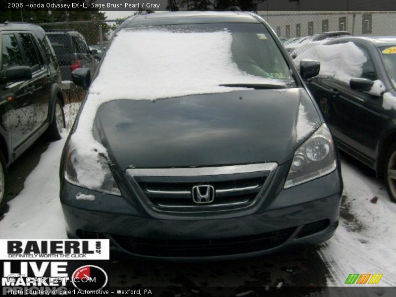 Sage Brush Pearl / Gray 2006 Honda Odyssey EX-L