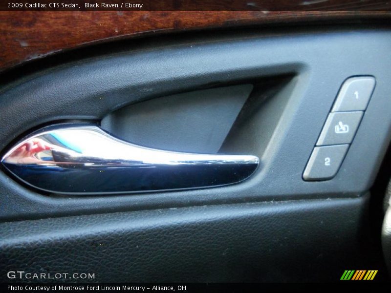 Black Raven / Ebony 2009 Cadillac CTS Sedan