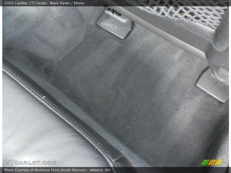 Black Raven / Ebony 2009 Cadillac CTS Sedan