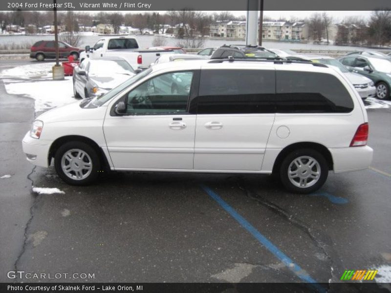 Vibrant White / Flint Grey 2004 Ford Freestar SEL