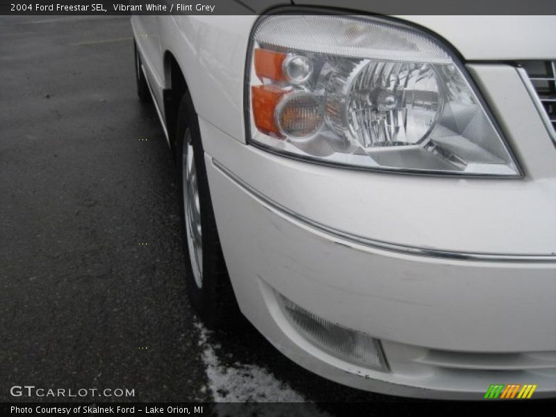 Vibrant White / Flint Grey 2004 Ford Freestar SEL
