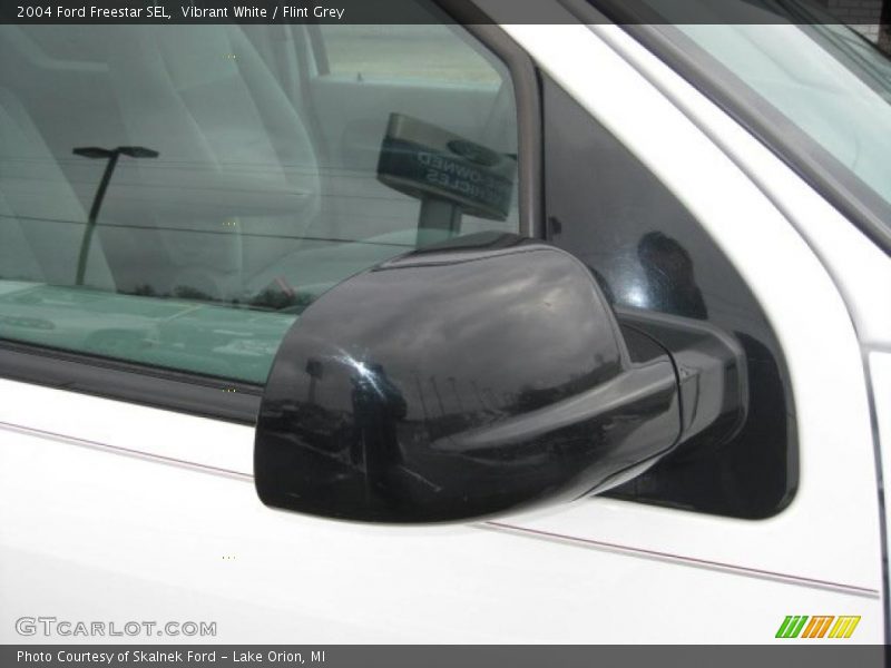 Vibrant White / Flint Grey 2004 Ford Freestar SEL