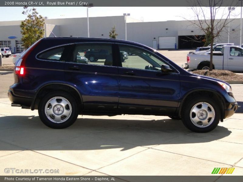 Royal Blue Pearl / Gray 2008 Honda CR-V LX