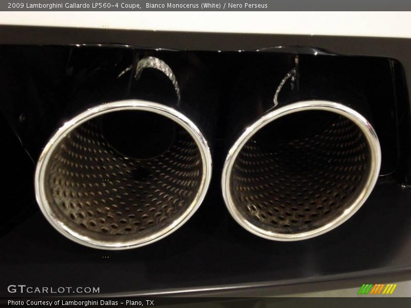 Bianco Monocerus (White) / Nero Perseus 2009 Lamborghini Gallardo LP560-4 Coupe