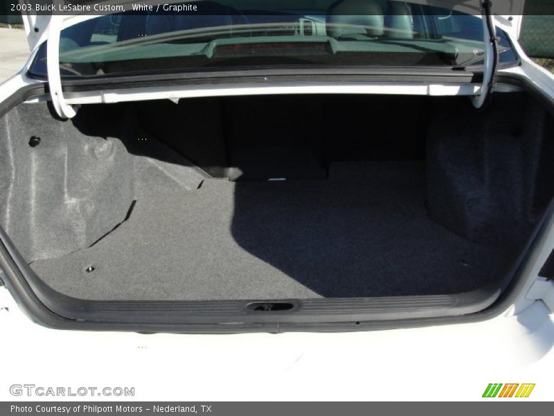 White / Graphite 2003 Buick LeSabre Custom