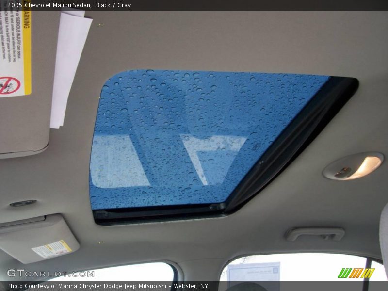 Black / Gray 2005 Chevrolet Malibu Sedan