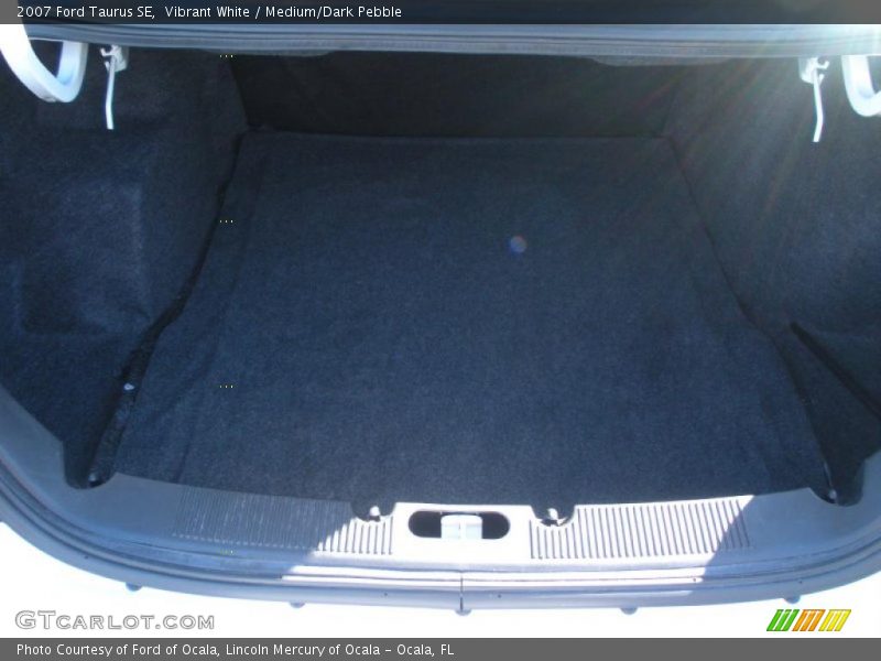Vibrant White / Medium/Dark Pebble 2007 Ford Taurus SE