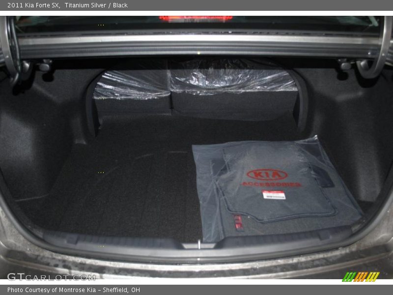 Titanium Silver / Black 2011 Kia Forte SX