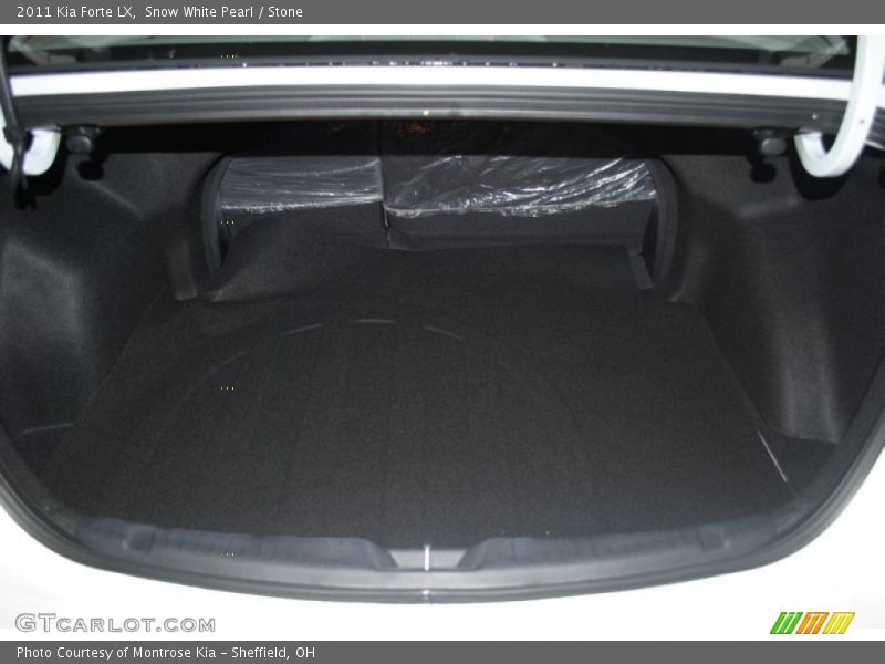 Snow White Pearl / Stone 2011 Kia Forte LX