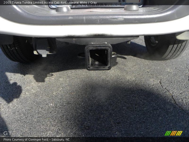 Natural White / Gray 2003 Toyota Tundra Limited Access Cab 4x4