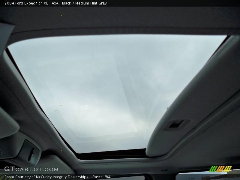 Black / Medium Flint Gray 2004 Ford Expedition XLT 4x4