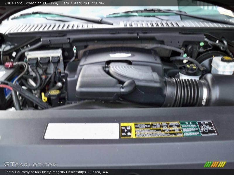 Black / Medium Flint Gray 2004 Ford Expedition XLT 4x4