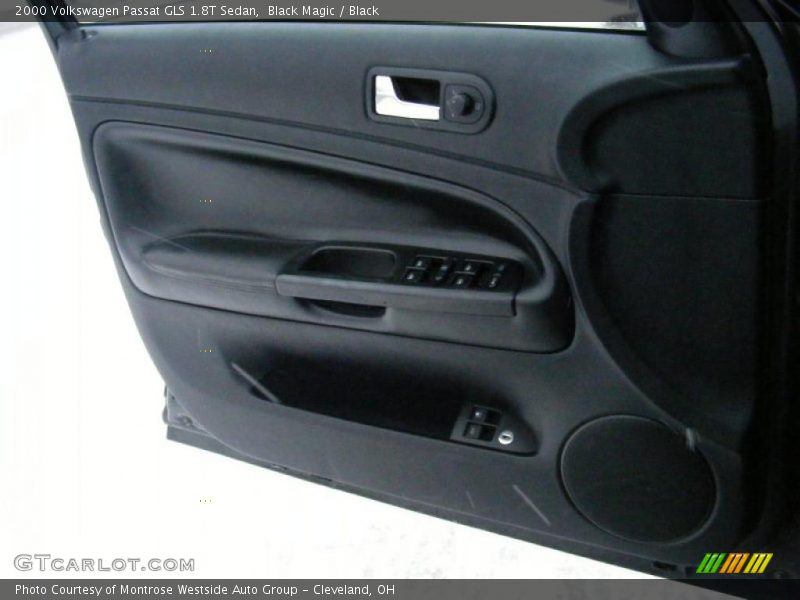 Door Panel of 2000 Passat GLS 1.8T Sedan