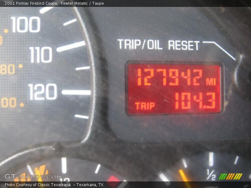 Pewter Metallic / Taupe 2001 Pontiac Firebird Coupe