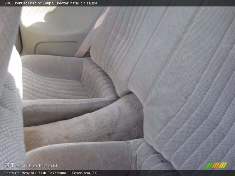 Pewter Metallic / Taupe 2001 Pontiac Firebird Coupe