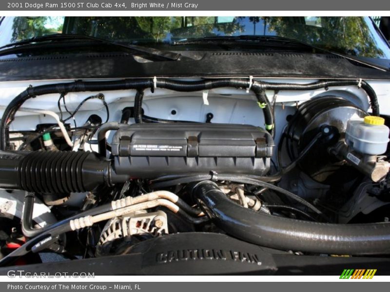 Bright White / Mist Gray 2001 Dodge Ram 1500 ST Club Cab 4x4