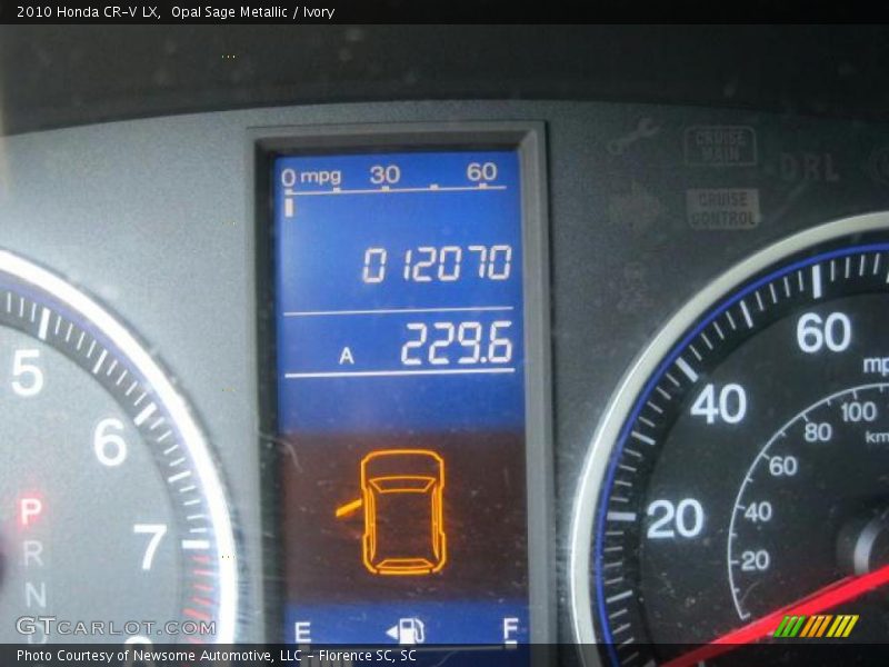 Opal Sage Metallic / Ivory 2010 Honda CR-V LX