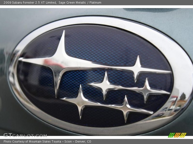 Sage Green Metallic / Platinum 2009 Subaru Forester 2.5 XT Limited