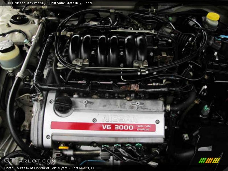 Sunlit Sand Metallic / Blond 2001 Nissan Maxima SE