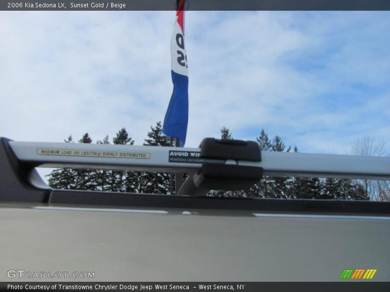 Sunset Gold / Beige 2006 Kia Sedona LX