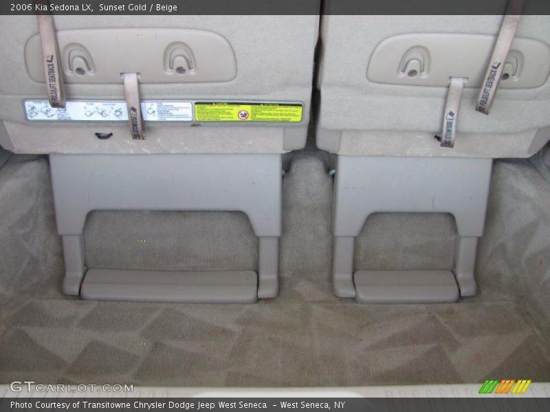 Sunset Gold / Beige 2006 Kia Sedona LX
