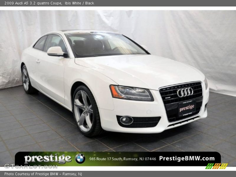 Ibis White / Black 2009 Audi A5 3.2 quattro Coupe