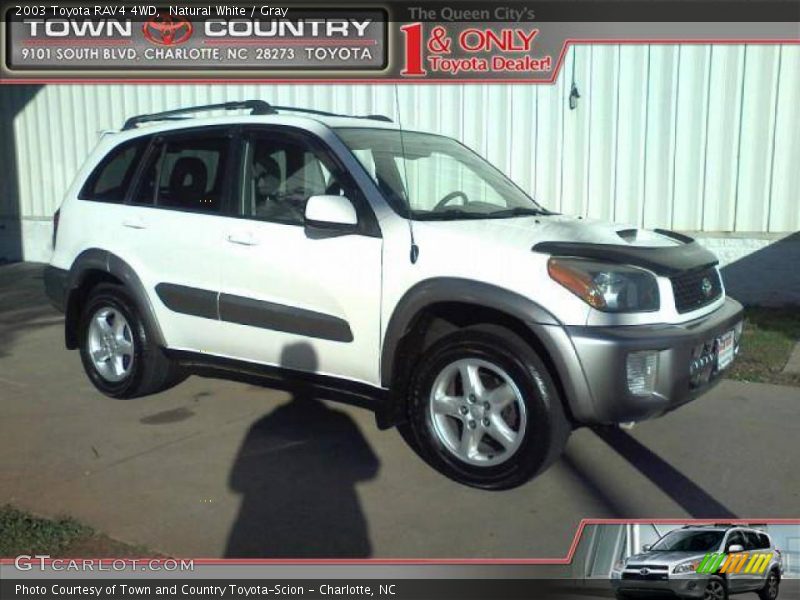 Natural White / Gray 2003 Toyota RAV4 4WD