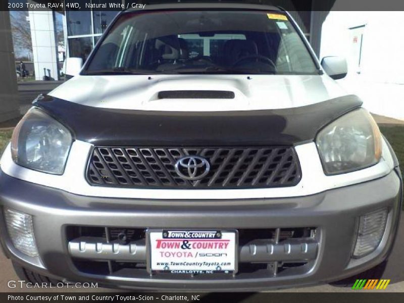 Natural White / Gray 2003 Toyota RAV4 4WD