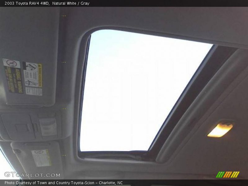 Natural White / Gray 2003 Toyota RAV4 4WD