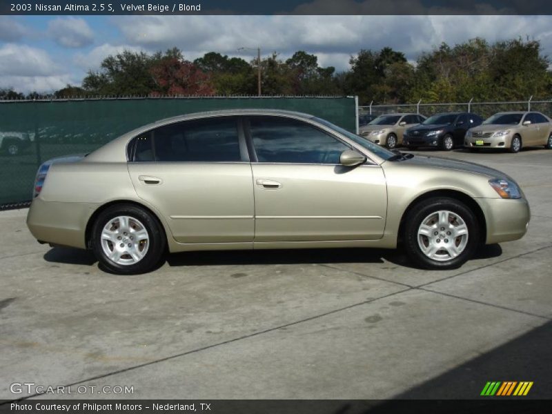 Velvet Beige / Blond 2003 Nissan Altima 2.5 S
