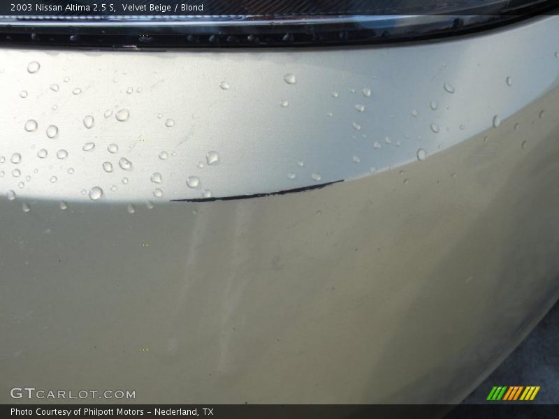 Velvet Beige / Blond 2003 Nissan Altima 2.5 S