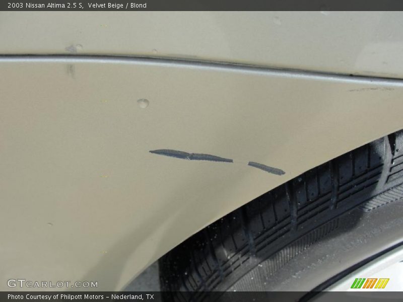 Velvet Beige / Blond 2003 Nissan Altima 2.5 S