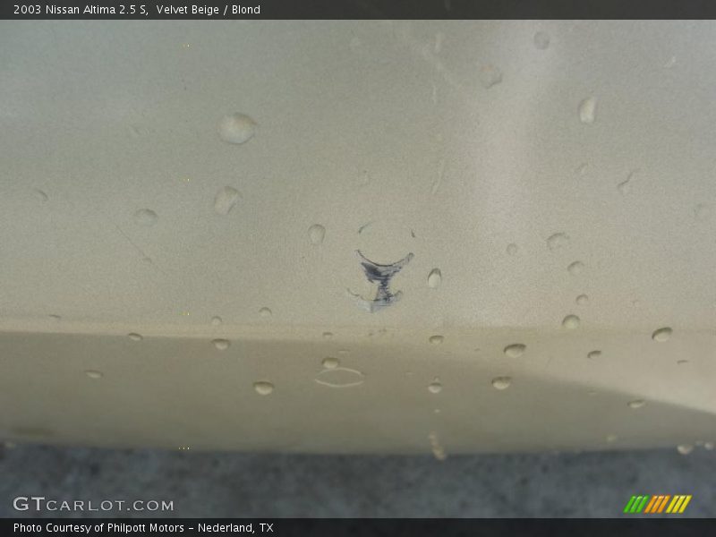 Velvet Beige / Blond 2003 Nissan Altima 2.5 S