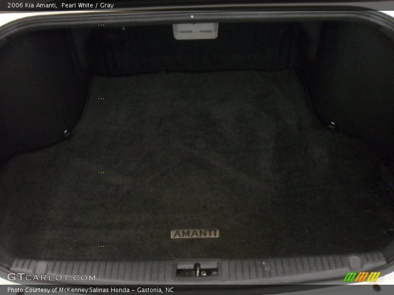 Pearl White / Gray 2006 Kia Amanti
