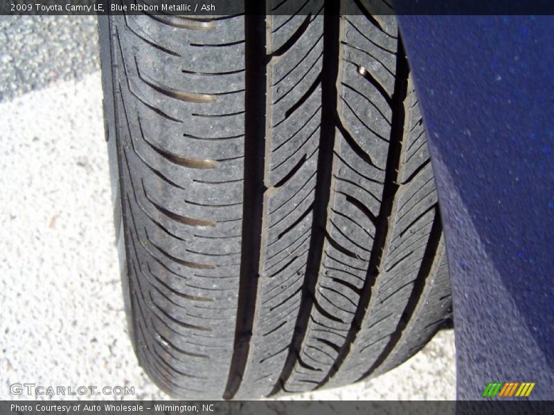 Blue Ribbon Metallic / Ash 2009 Toyota Camry LE