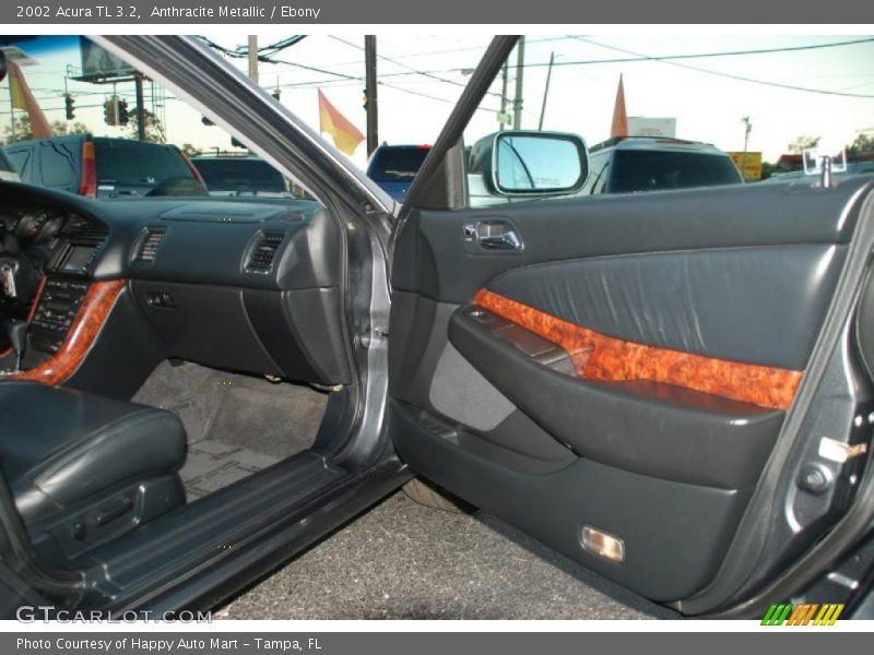 Door Panel of 2002 TL 3.2