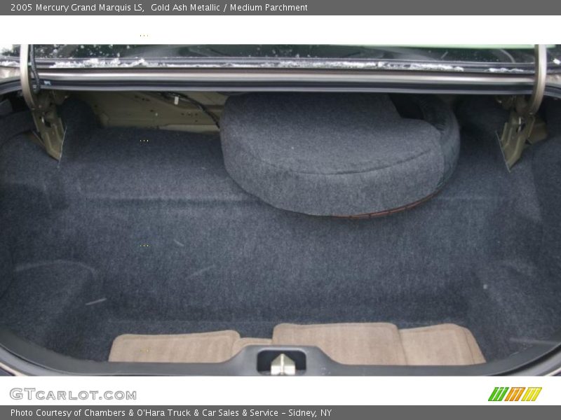 Gold Ash Metallic / Medium Parchment 2005 Mercury Grand Marquis LS