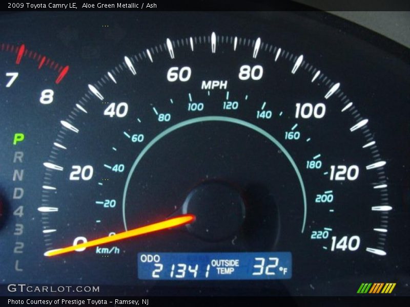 Aloe Green Metallic / Ash 2009 Toyota Camry LE
