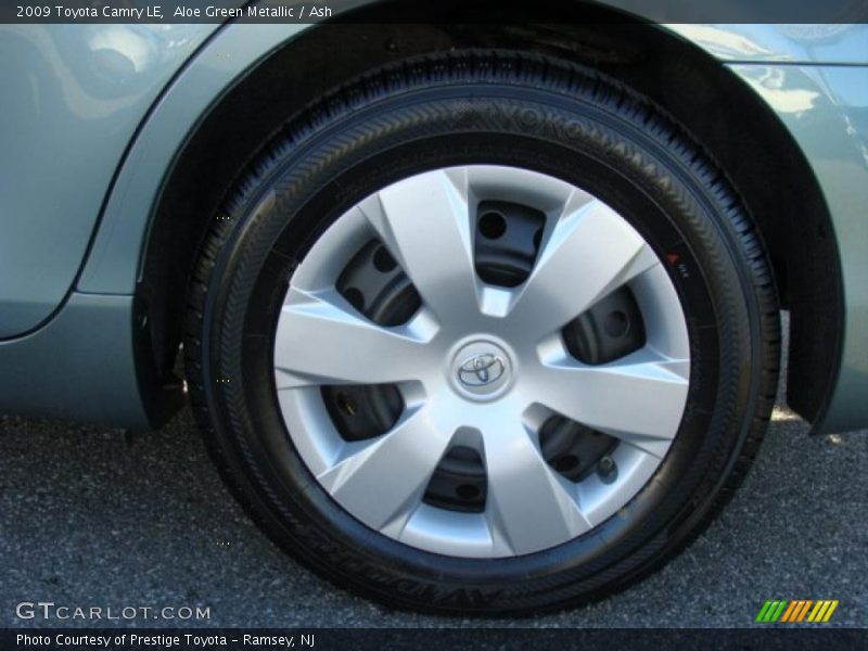 Aloe Green Metallic / Ash 2009 Toyota Camry LE