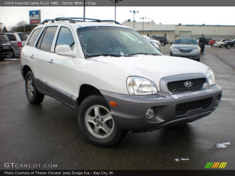 Nordic White / Gray 2004 Hyundai Santa Fe LX 4WD
