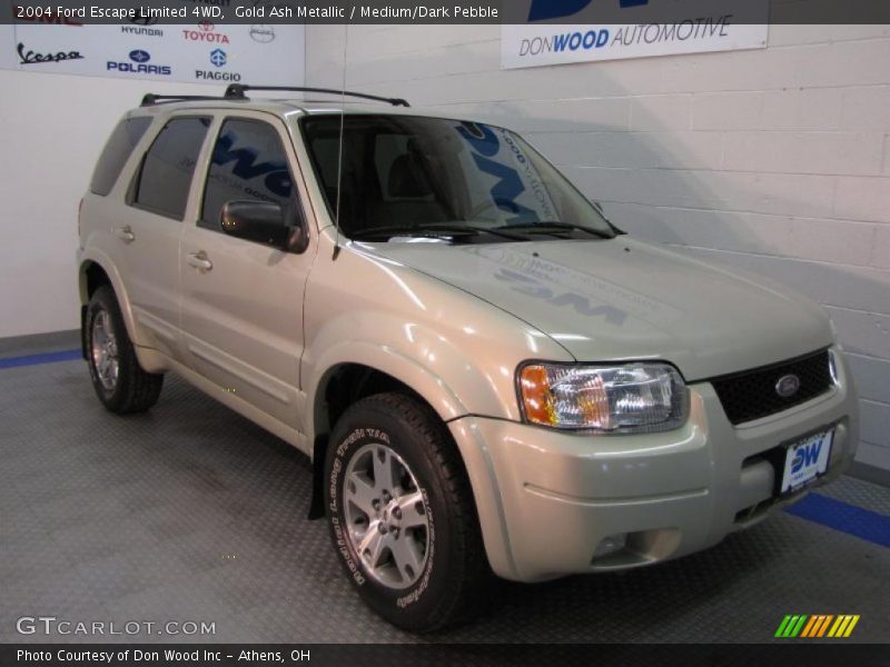 Gold Ash Metallic / Medium/Dark Pebble 2004 Ford Escape Limited 4WD