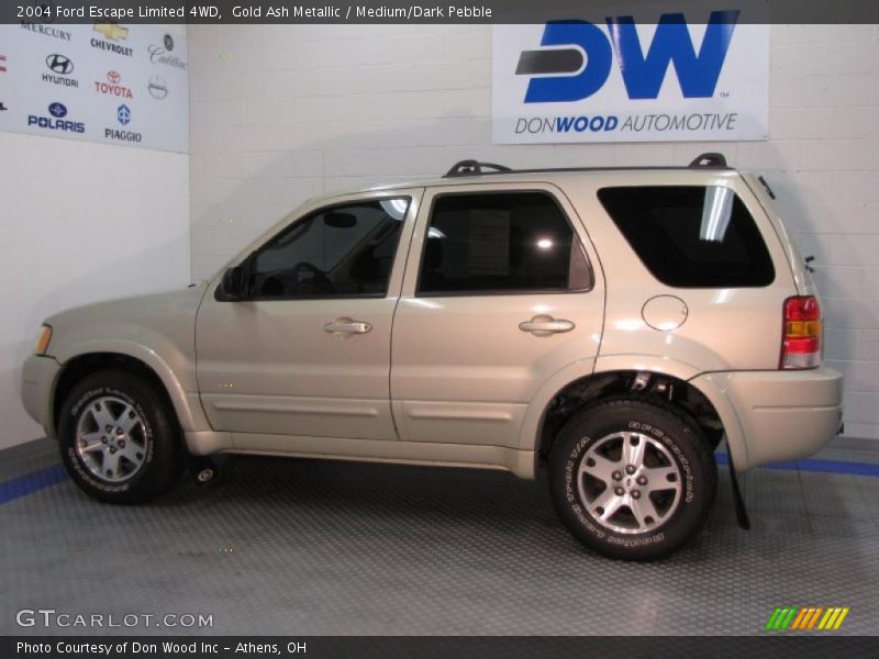 Gold Ash Metallic / Medium/Dark Pebble 2004 Ford Escape Limited 4WD