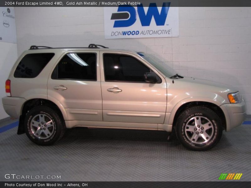 Gold Ash Metallic / Medium/Dark Pebble 2004 Ford Escape Limited 4WD