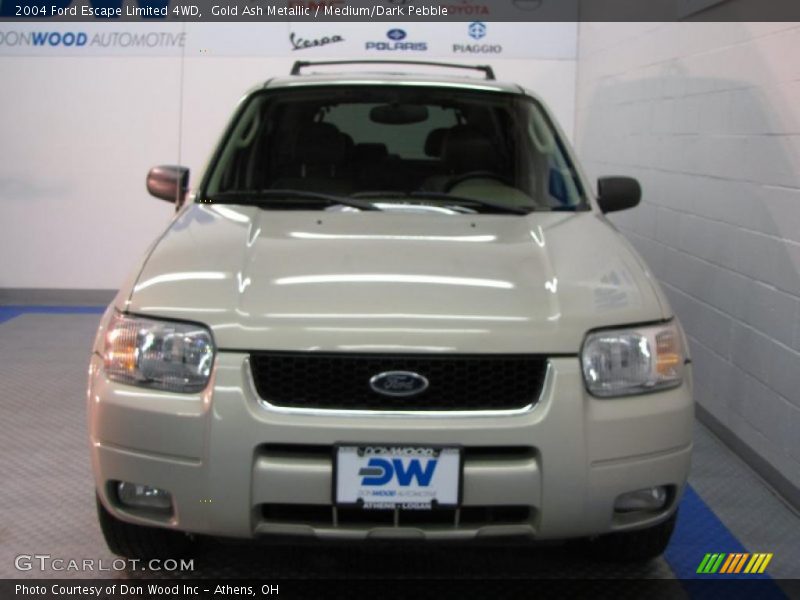 Gold Ash Metallic / Medium/Dark Pebble 2004 Ford Escape Limited 4WD